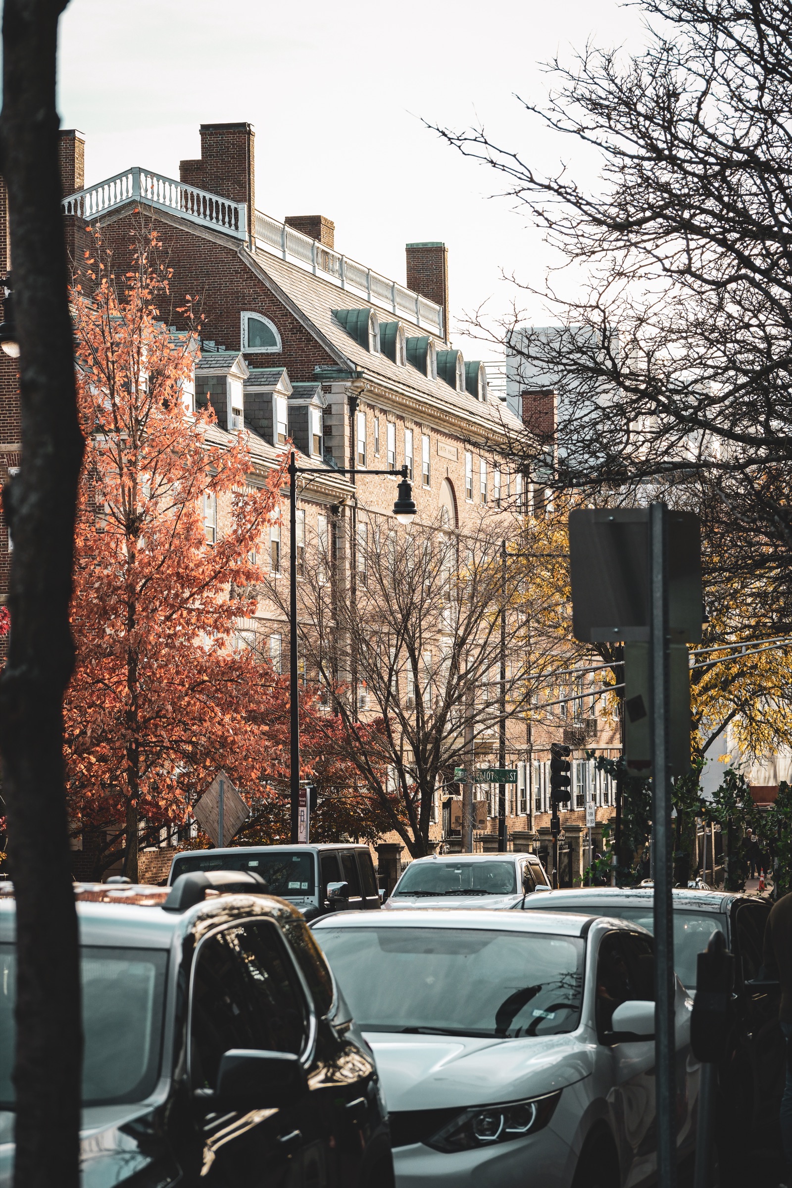 Architecture - urban street with fall foliage and cars