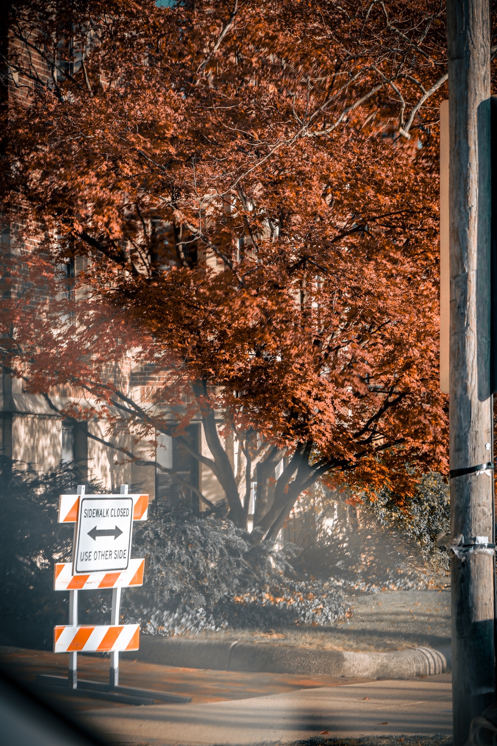 Travel - autumn street scene with orange foliage and road signs