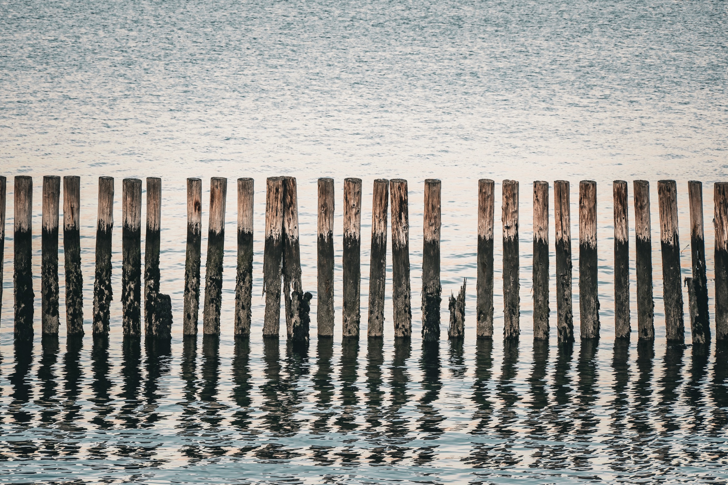 Weathered pier posts in still water — travel photography