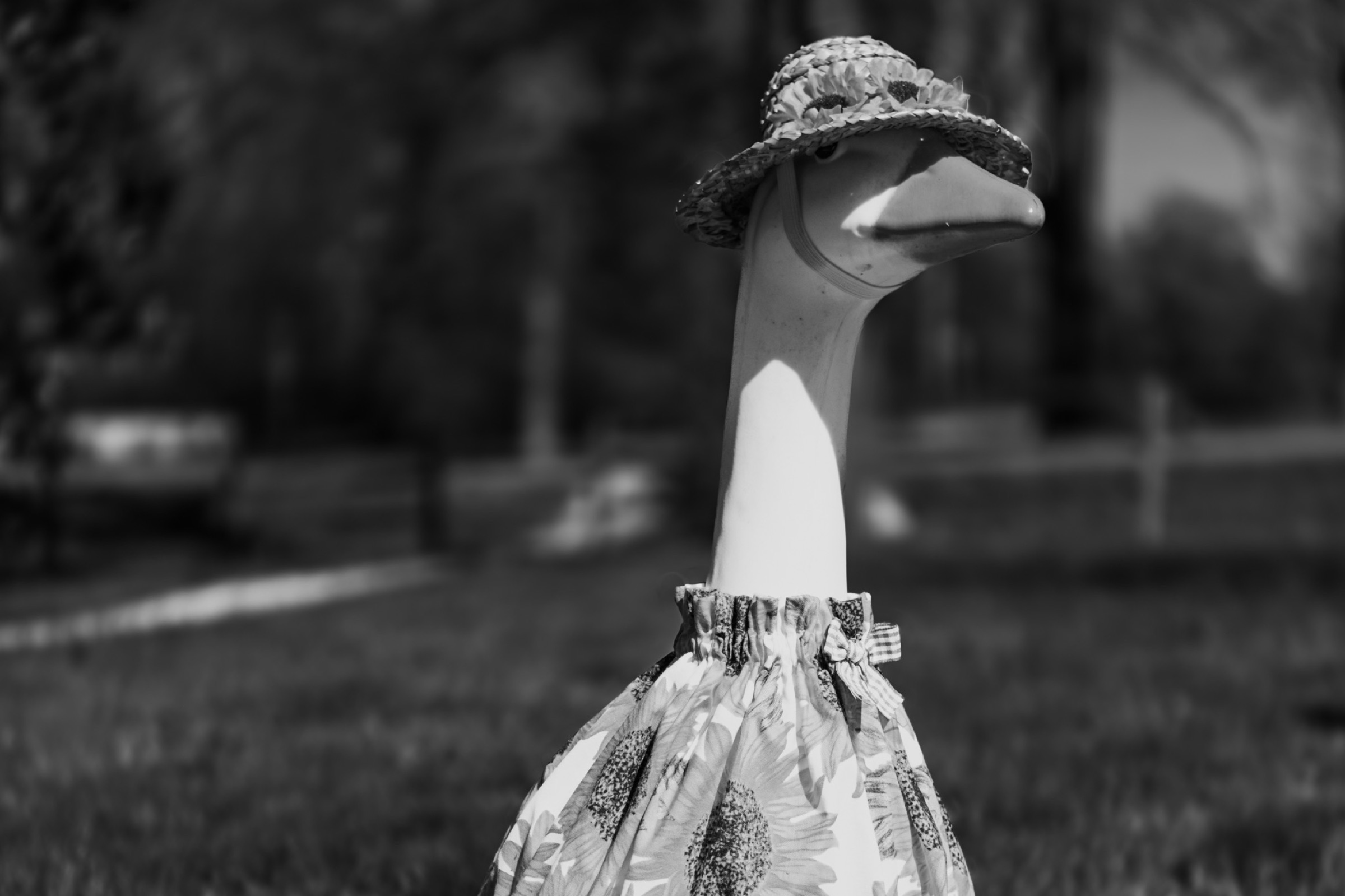 Lifestyle - street editorial