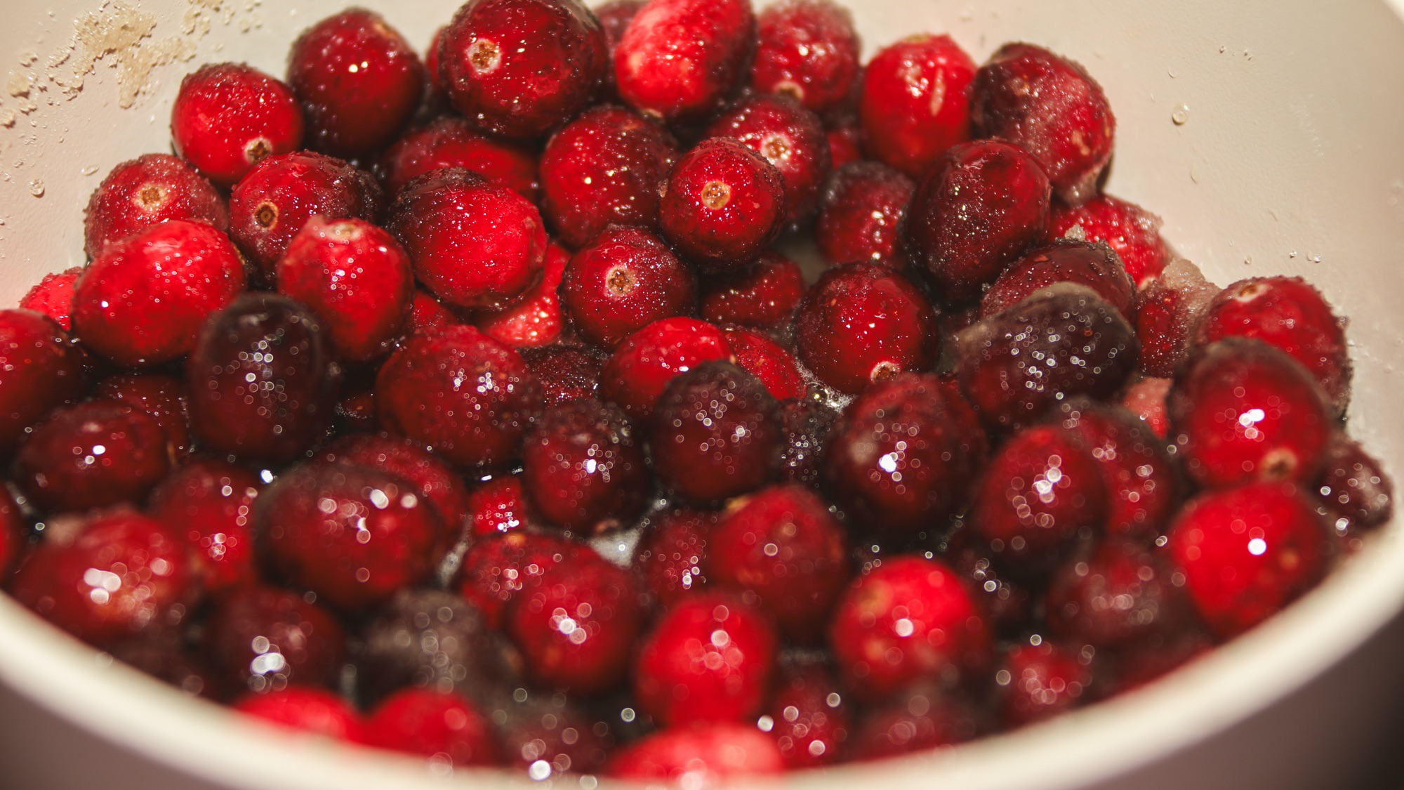 Cranberries in a bowl, still life