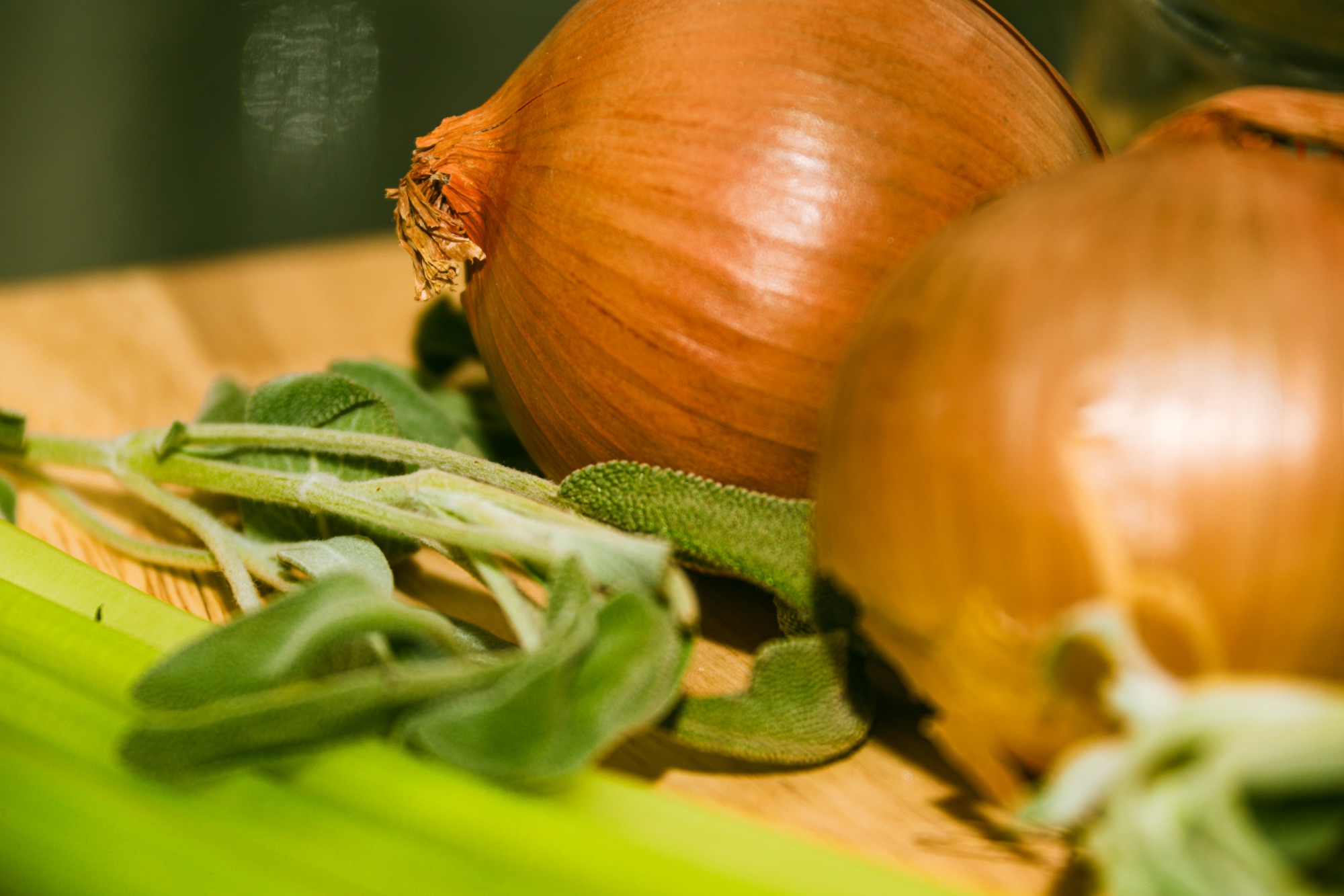 Onion still life on a dark table